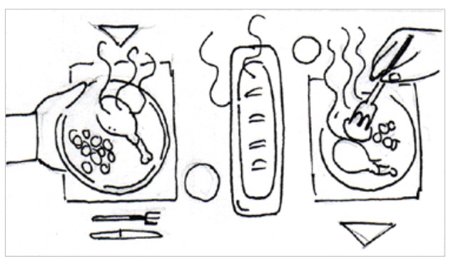 915 Labs Explainer Animation Storyboard animation of food 915 labs