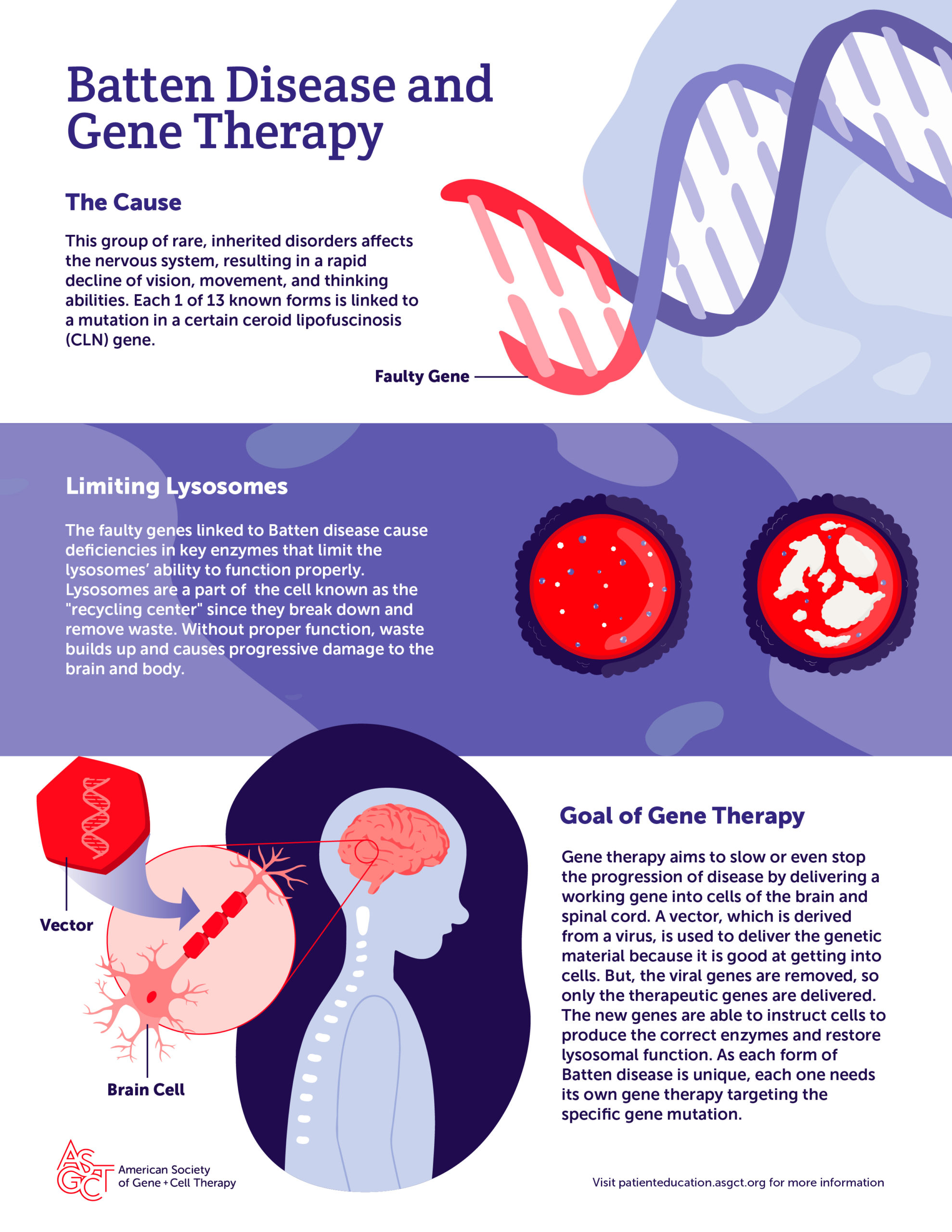 Batten-Disease-and-Gene-Therapy-01-scaled cell therapy DNA graphic