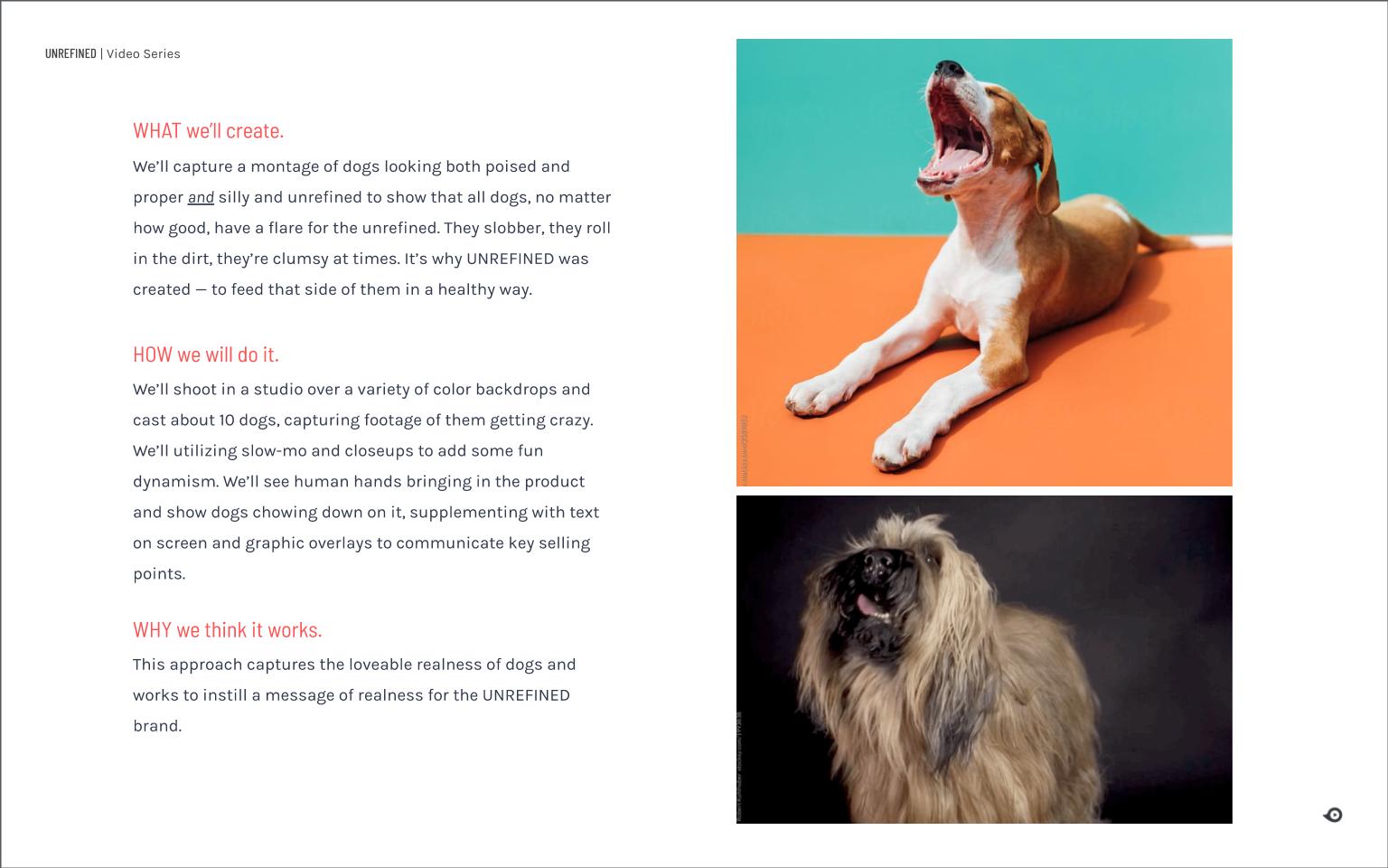 Unrefined-Dog-Food-Video-Production-Concept-SLIDE live action explainer video production idea slide