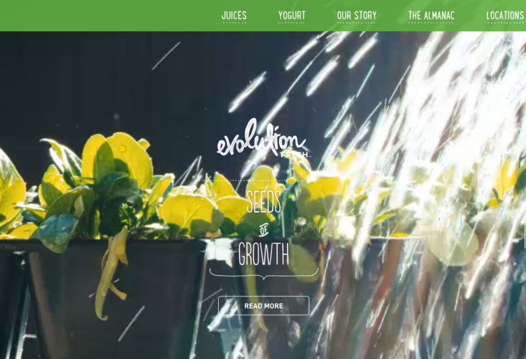 Screen-Shot-2015-07-06-at-11.29.23-AM-1024x700 Evolution homepage explainer video