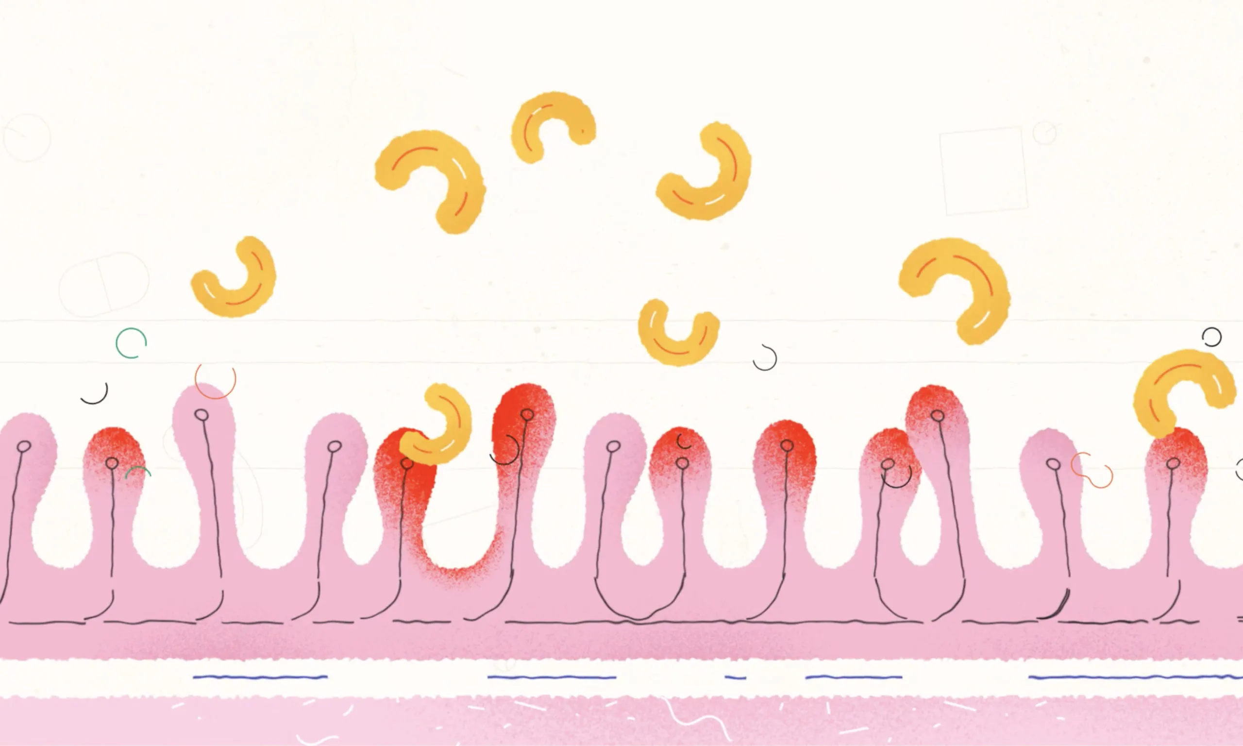 CCF Medications Animated Explainer Video Agency